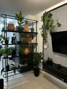Apartamento com 2 Quartos para alugar, 56m² no Novo Mundo, Uberlândia