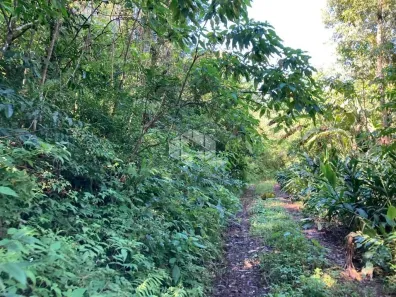 Fazenda/Sítio à venda, 230000m² no Linha Olinda, Nova Petrópolis