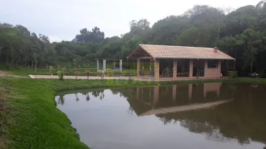 Fazenda/Sítio com 2 Quartos à venda, 6000m² no Planta Deodoro, Piraquara