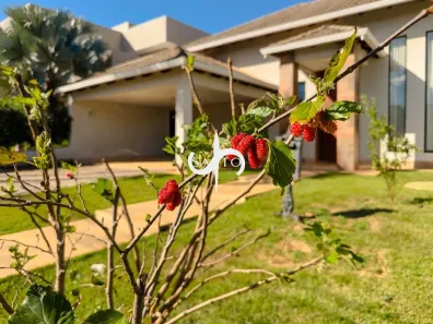 Casa de Condomínio com 4 Quartos à venda, 245m² no Residencial Anaville, Anápolis