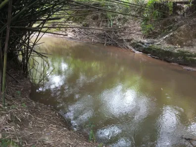 Fazenda/Sítio com 3 Quartos à venda, 8000m² no Centro, Lorena