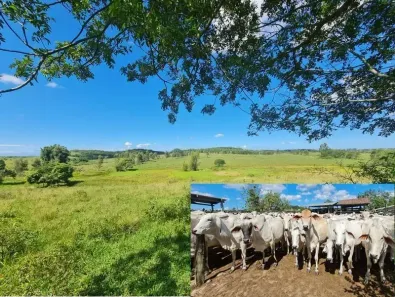 Fazenda/Sítio com 1 Quarto à venda, 2516800m² no Centro, Araruama