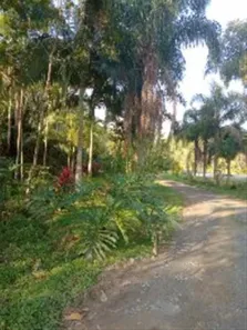 Fazenda/Sítio à venda, 40700m² no Iririaria Mirim, Cananeia