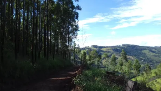 Fazenda/Sítio com 4 Quartos à venda, 283m² no Velhobol, Amparo