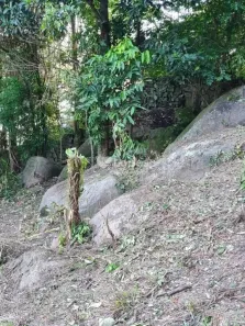 Lote/Terreno à venda, 4582m² no Jacarepaguá, Rio de Janeiro