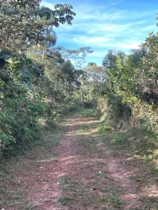 Lote/Terreno à venda, 1200m² no Centro, Mairiporã