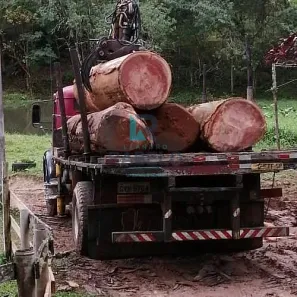 à venda, 1m² no , Piquete