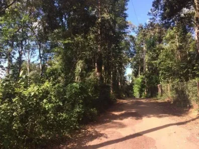 Lote/Terreno à venda, 1000m² no São Sebastião das Águas Claras, Nova Lima