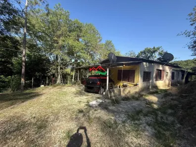 Fazenda/Sítio com 4 Quartos à venda, 5000m² no , Pedro de Toledo
