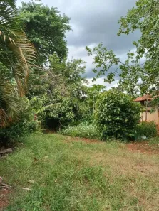 Fazenda/Sítio à venda, 732m² no Machados, Araraquara