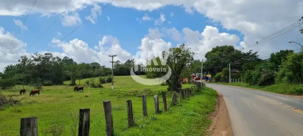 Fazenda/Sítio com 3 Quartos à venda, 1000m² no Ipiranga I (Ipiranga), Gravataí