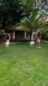 Fazenda/Sítio com 5 Quartos à venda, 4300m² no Sapucaia, Olinda
