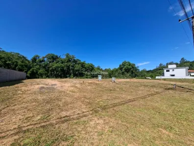 Lote/Terreno para alugar, 362m² no , São Pedro de Alcântara