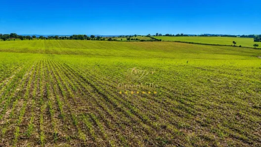 Fazenda/Sítio à venda, 226512m² no Esplanada, Lapa