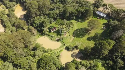 Fazenda/Sítio com 5 Quartos à venda, 45000m² no Colônia Murici, São José dos Pinhais