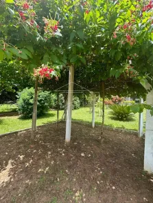 Fazenda/Sítio com 7 Quartos à venda, 512m² no Jóquei Clube, Marília