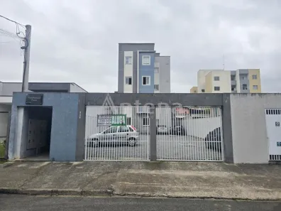 Apartamento com 2 Quartos para alugar, 40m² no Boneca do Iguaçu, São José dos Pinhais