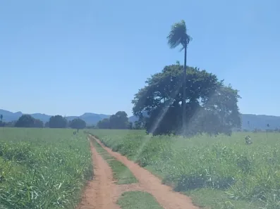 Fazenda/Sítio à venda, 1940000m² no Centro, Terenos