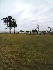 à venda, 36453m² no Quississana, São José dos Pinhais