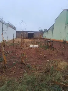 Lote/Terreno à venda, 250m² no Jardim das Palmeiras, Uberlândia
