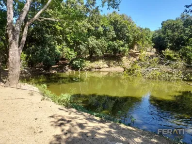Fazenda/Sítio com 3 Quartos à venda, 10m² no , Cocalzinho de Goiás