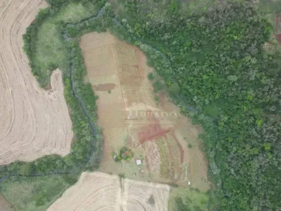 Fazenda/Sítio com 3 Quartos à venda, 300m² no , Ibiporã