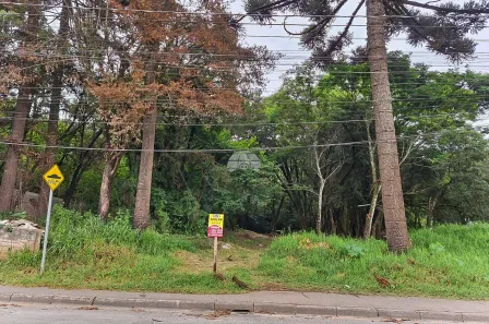 Lote/Terreno à venda, 480m² no Guaraituba, Colombo