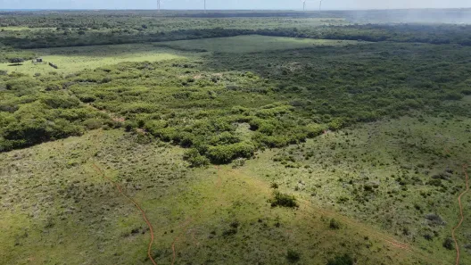 Fazenda/Sítio com 1 Quarto à venda, 375000m² no , Touros