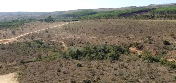 Lote/Terreno à venda, 20000m² no , Cordisburgo