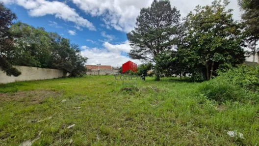Lote/Terreno à venda, 3300m² no Parque da Fonte, São José dos Pinhais