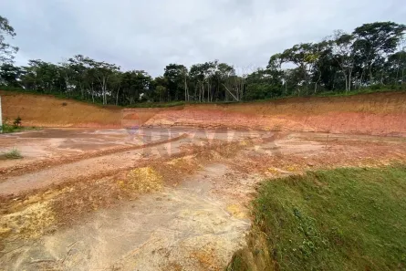Lote/Terreno para alugar, 4000m² no Teixeiras, Juiz de Fora
