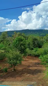 Fazenda/Sítio com 2 Quartos à venda, 100m² no Jaranápolis, Pirenópolis