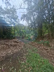 Lote/Terreno à venda, 7000m² no Jardim Paineira, Itaquaquecetuba