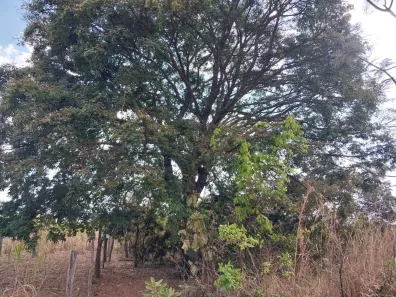 Fazenda/Sítio com 2 Quartos à venda, 20000m² no , Brasília