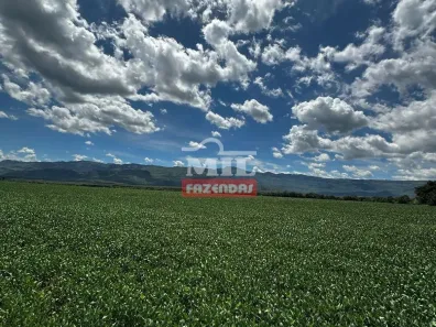 Fazenda/Sítio à venda, 500m² no , Colinas do Sul