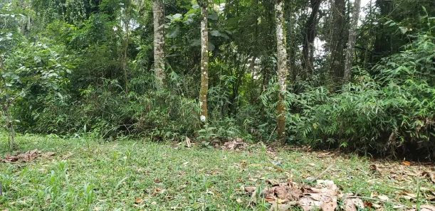Lote/Terreno à venda, 858m² no Roseira, Mairiporã