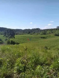 Fazenda/Sítio à venda, 6050m² no Mandirituba, Mandirituba