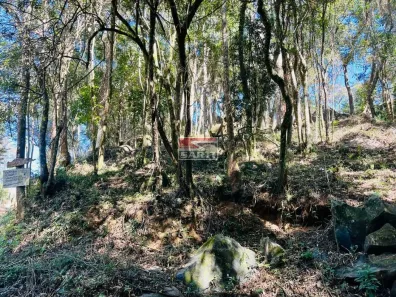 Lote/Terreno à venda, 1085m² no Jundiaizinho (Terra Preta), Mairiporã