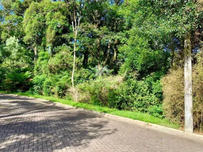 Lote/Terreno à venda, 784m² no Carniel, Gramado