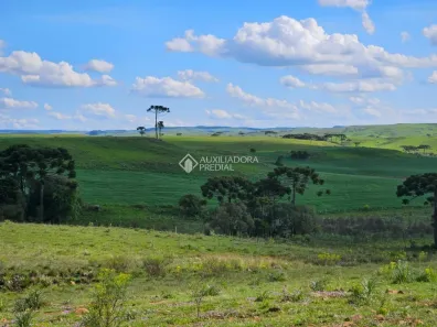 Fazenda/Sítio à venda, 1571700m² no Centro, São Francisco de Paula