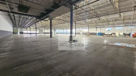 Galpão/Depósito/Armazém para alugar, 5200m² no Planalto, São Bernardo do Campo