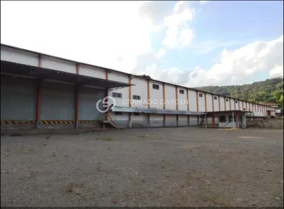 Galpão/Depósito/Armazém para alugar, 5000m² no Várzea Grande, Gramado
