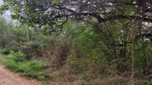 Lote/Terreno à venda, 2014m² no São José, Crato