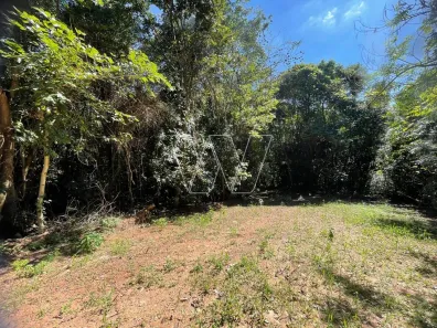Lote/Terreno à venda, 1450m² no Chácara Bela Vista, Campinas