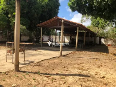 Fazenda/Sítio com 2 Quartos à venda, 10000m² no Vale Quem Tem, Teresina