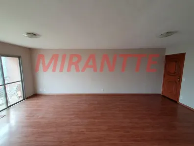 Apartamento com 3 Quartos à venda, 116m² no Vila Paulicéia, São Paulo