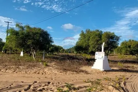 Lote/Terreno à venda, 5000m² no , Nísia Floresta