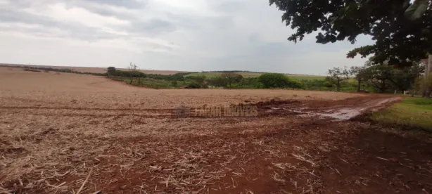 Fazenda/Sítio com 4 Quartos à venda, 154m² no Centro, Porecatu
