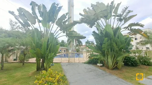 Apartamento com 2 Quartos à venda, 45m² no Roçado, São José