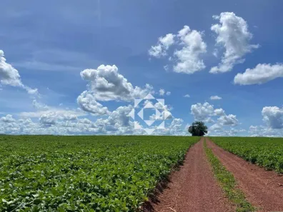 Fazenda/Sítio com 4 Quartos à venda, 890m² no Centro, Cristalândia